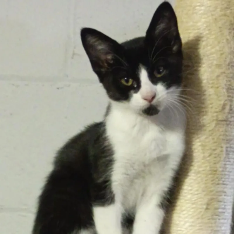 Carly  Rossy & thumbnail 2