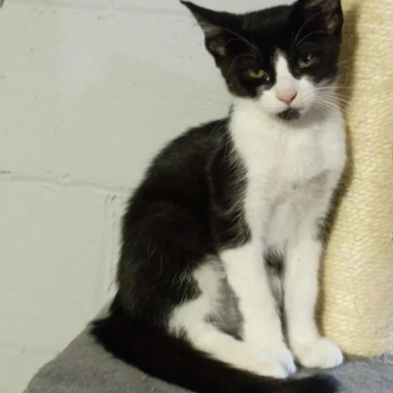 Carly  Rossy & thumbnail 5