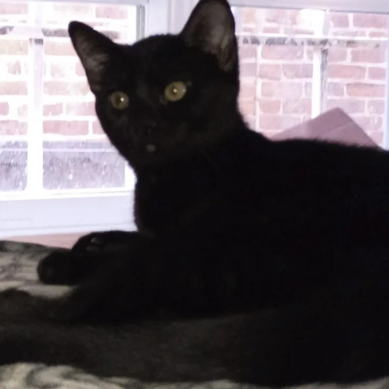 Carly  Rossy & thumbnail 6