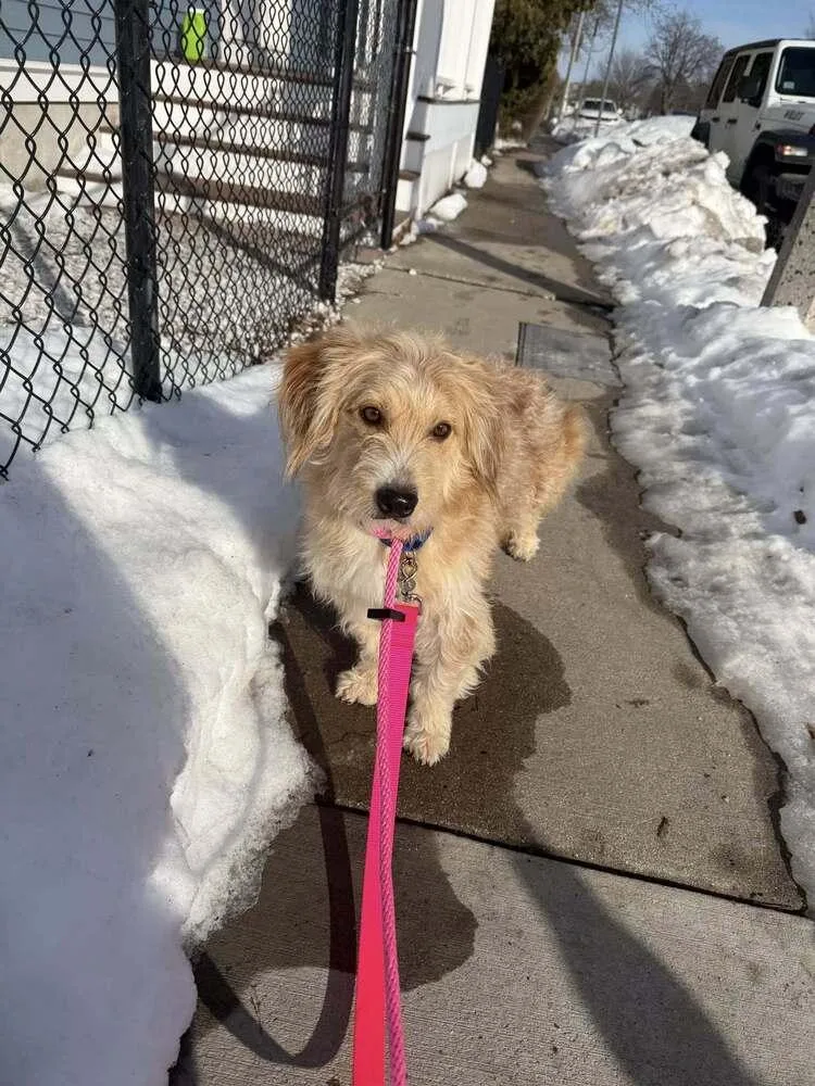 Bob Bruiser thumbnail 2