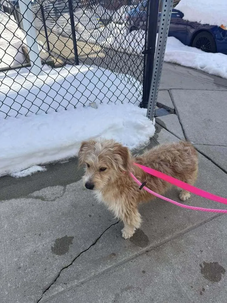 Bob Bruiser thumbnail 4