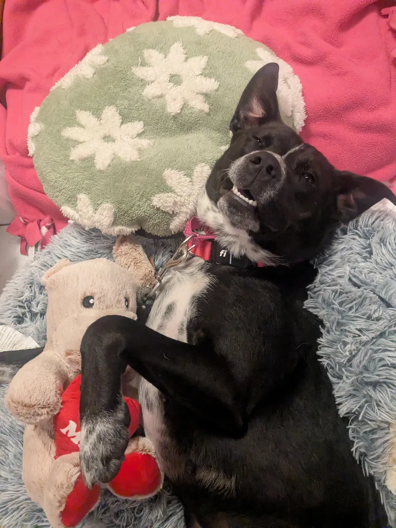 Nikki Momma  Local thumbnail 2