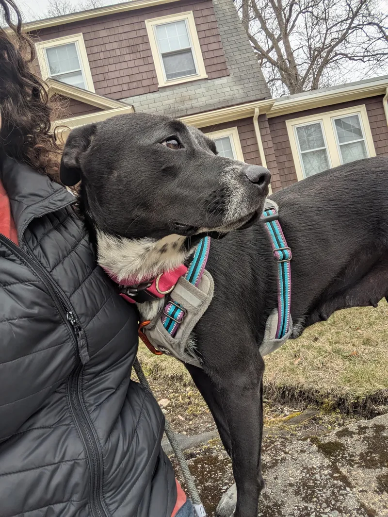 Nikki Momma  Local thumbnail 3