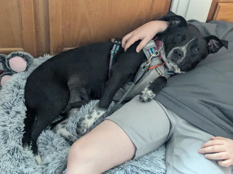 Nikki Momma  Local thumbnail 4