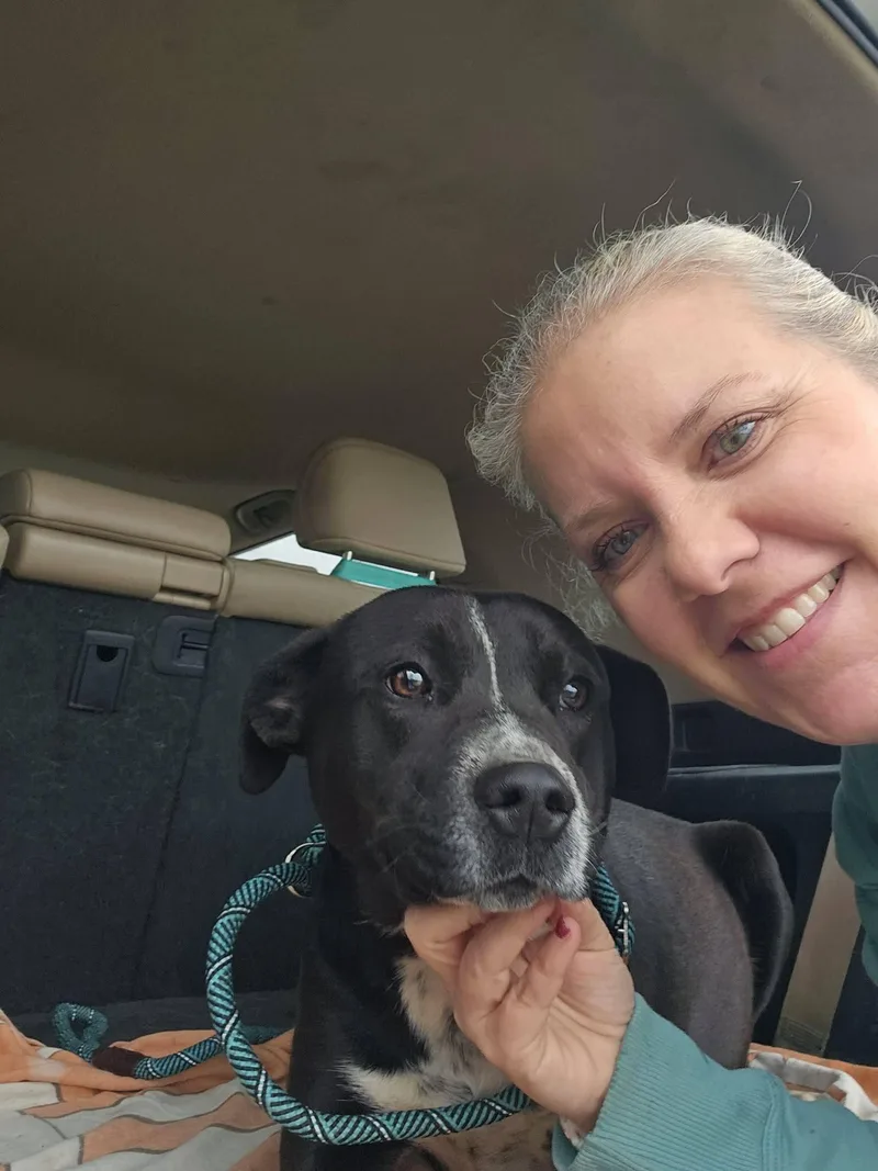 Nikki Momma  Local thumbnail 6