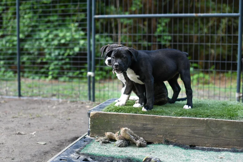 Margot thumbnail 2