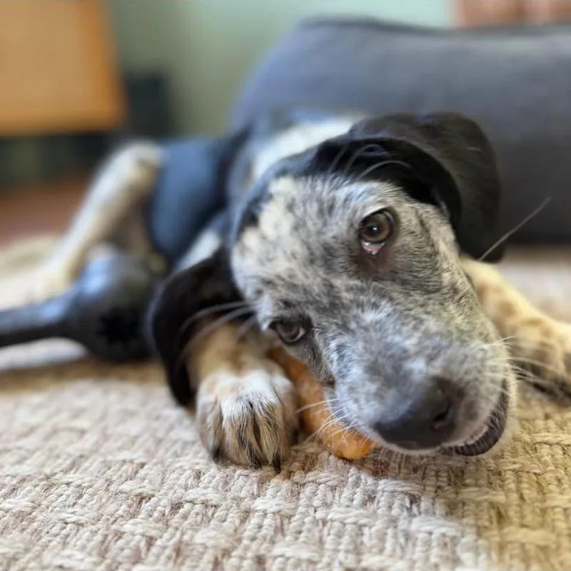 Tater thumbnail 3