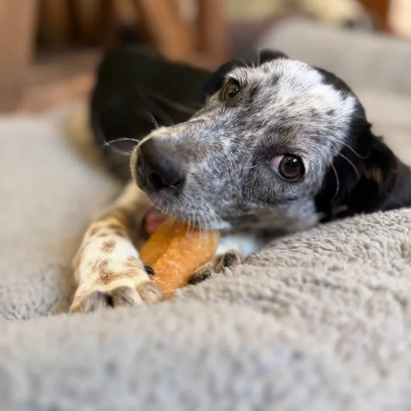 Tater thumbnail 4