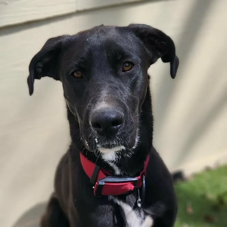 Benny Jc thumbnail 2