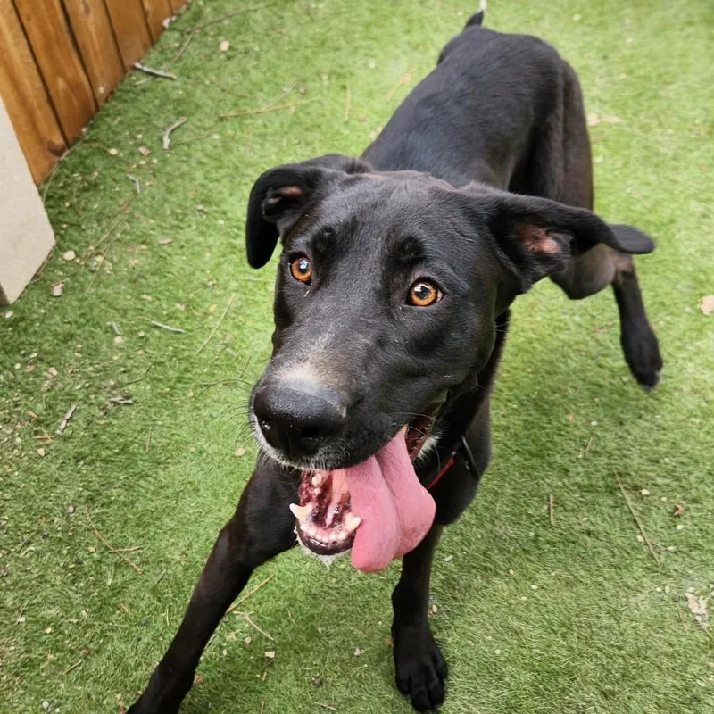 Benny Jc thumbnail 5