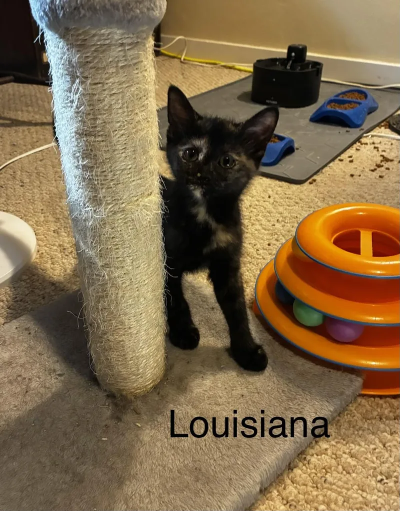 Louisiana