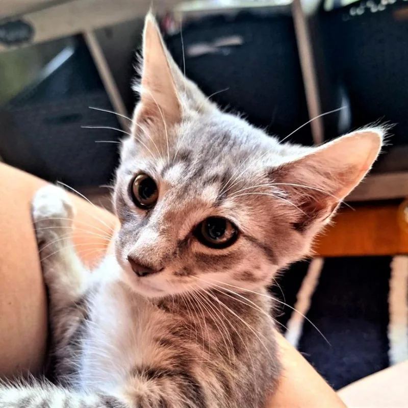 Sandradelta thumbnail 2