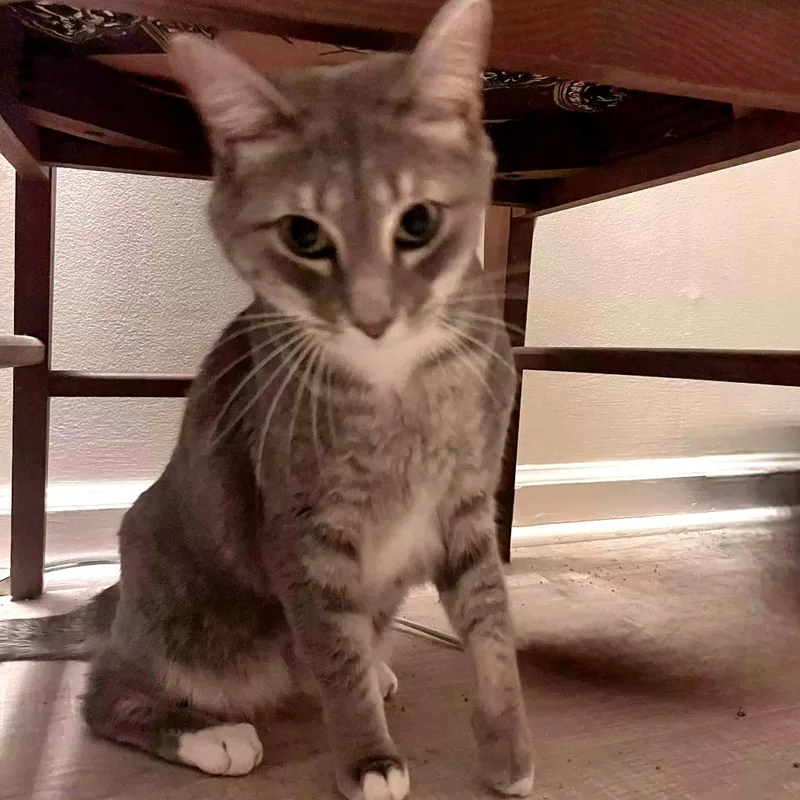 Sandradelta thumbnail 4