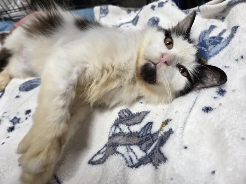 Betty thumbnail 2