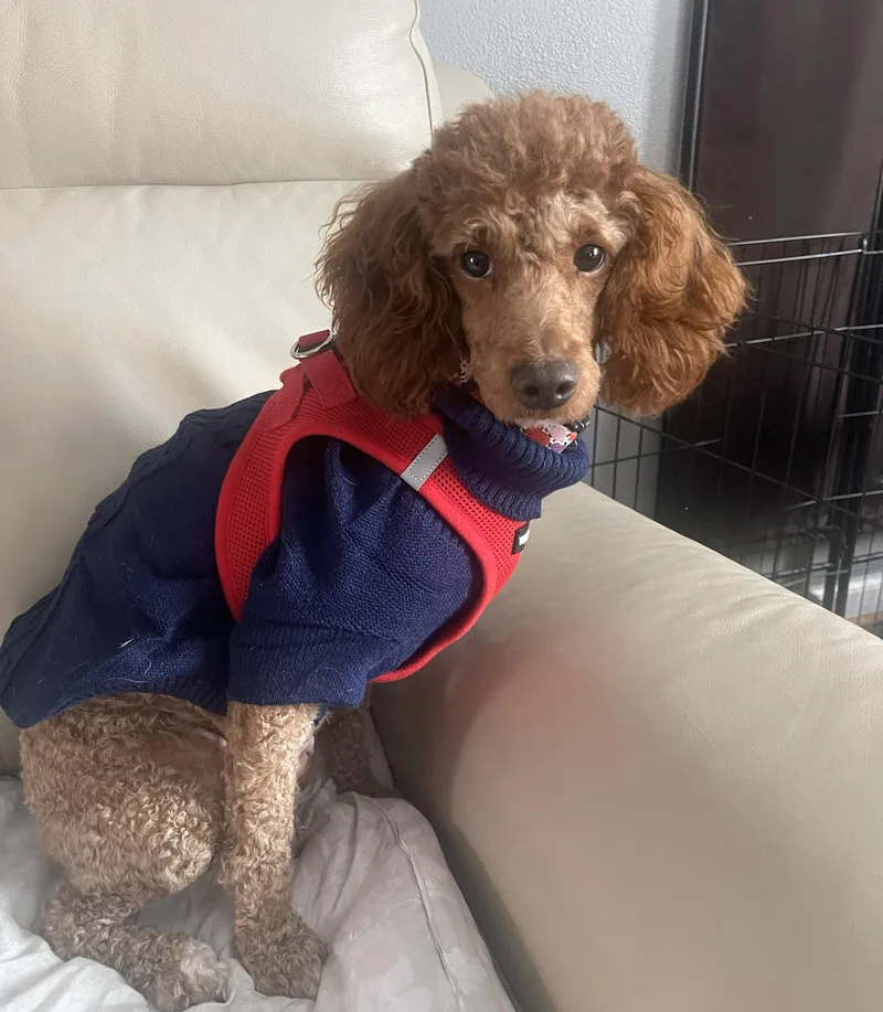 Gwendolyn thumbnail 2