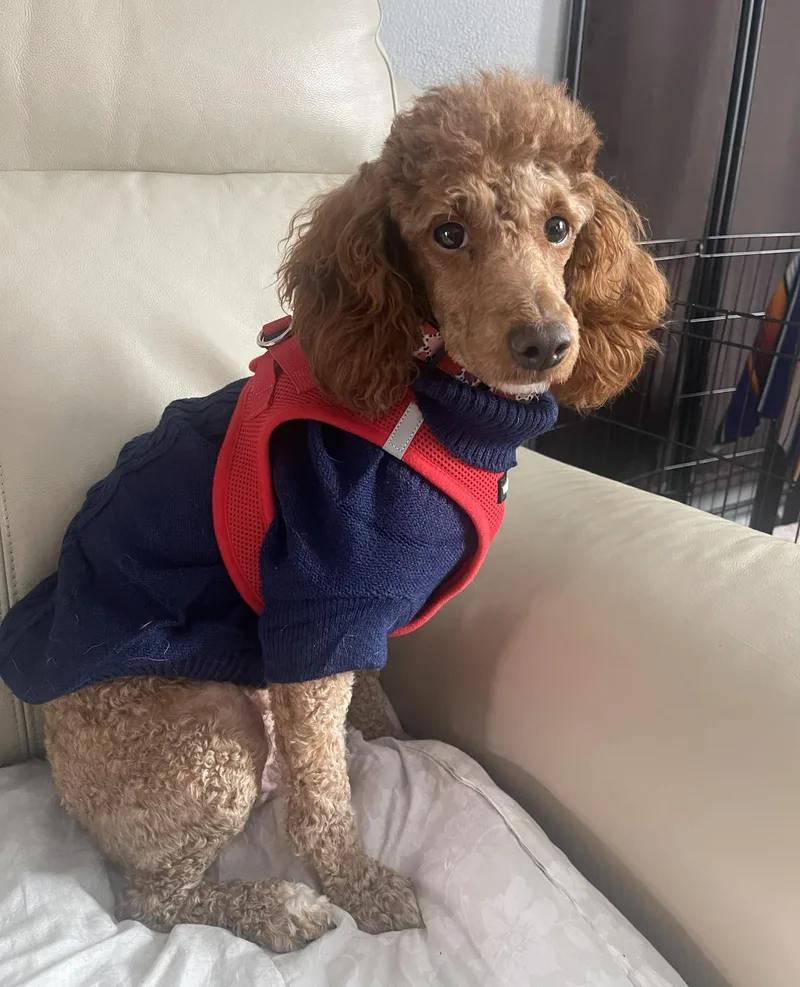 Gwendolyn thumbnail 3