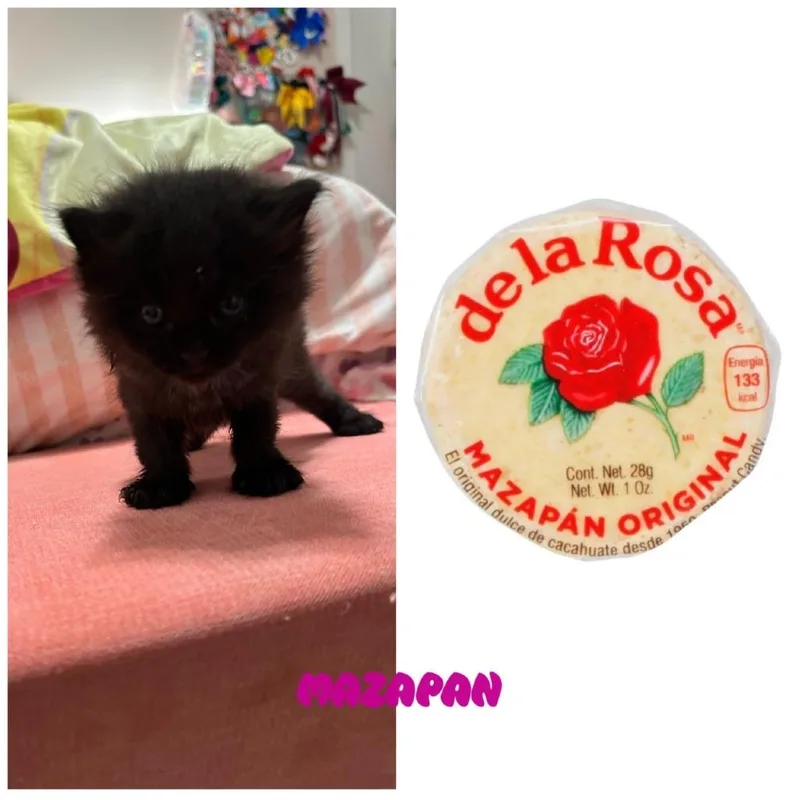 Mazapan