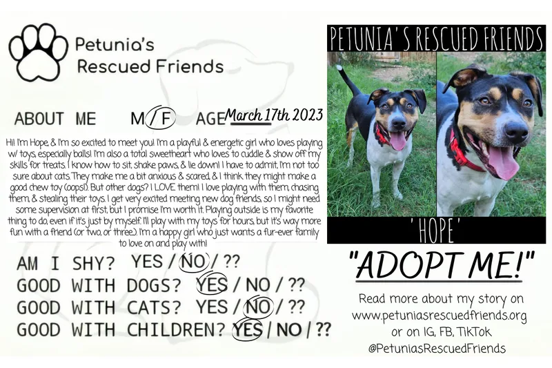 Hope thumbnail 2