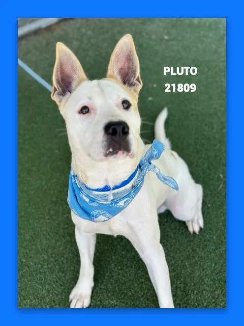 Pluto thumbnail 2