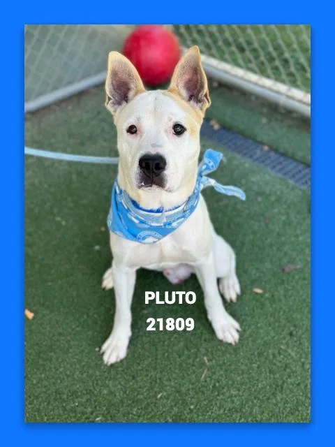 Pluto thumbnail 3