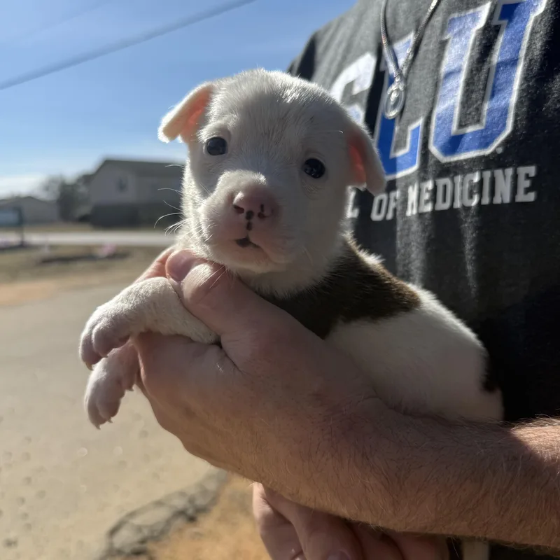 Blockbuster thumbnail 6