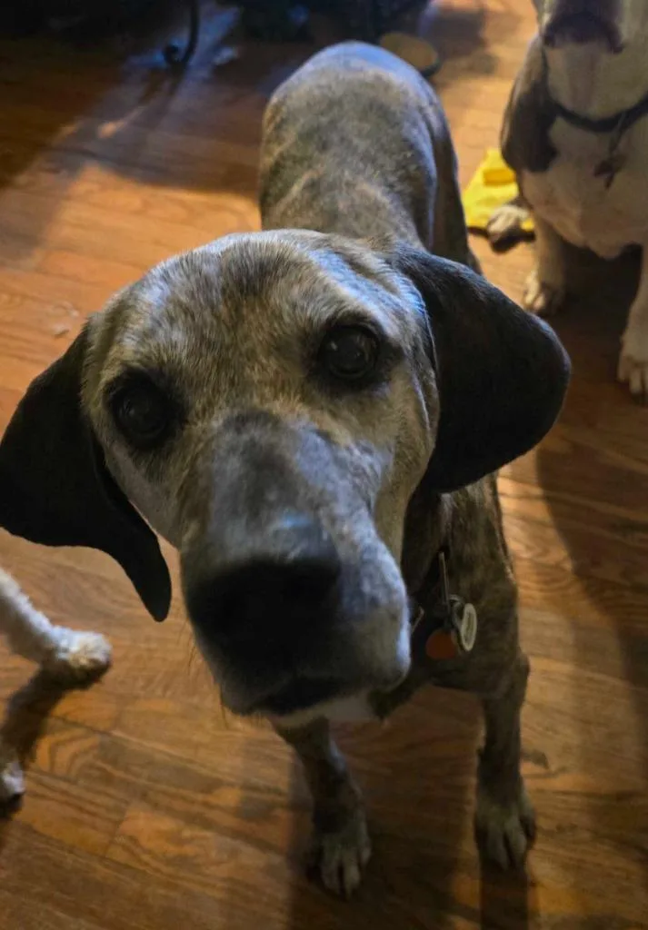 Old Man Mcgucket thumbnail 2