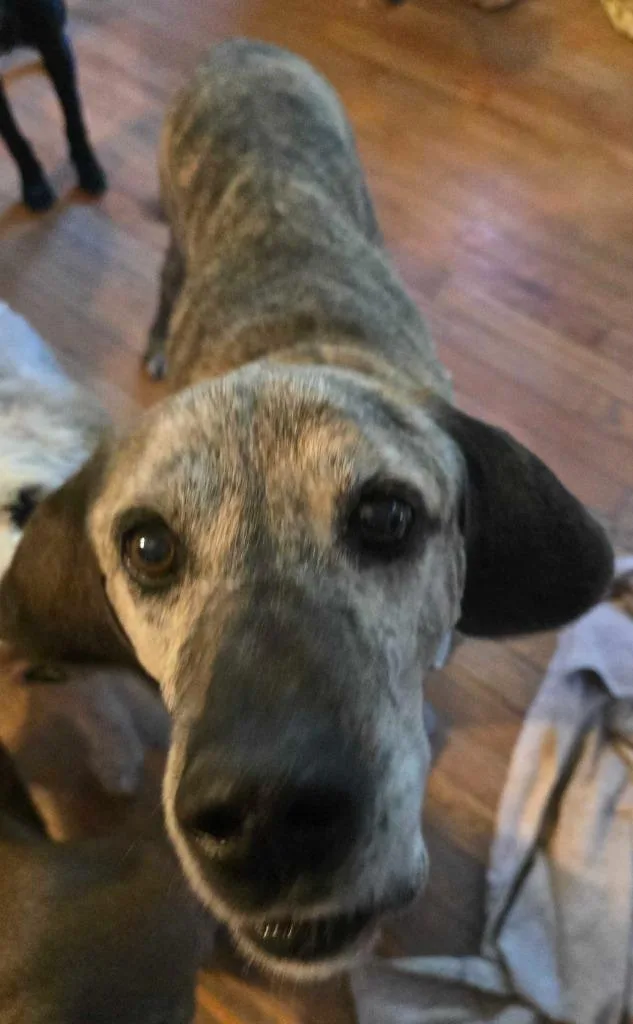 Old Man Mcgucket thumbnail 4