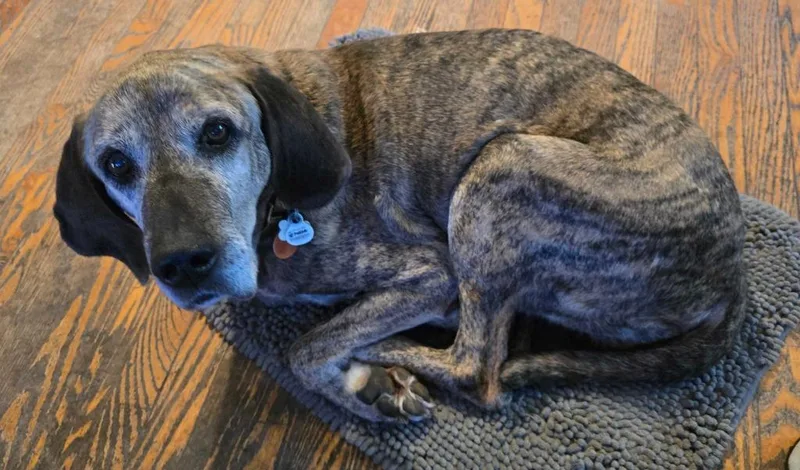 Old Man Mcgucket thumbnail 5