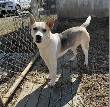 Cadi: This Happy Survivor thumbnail 6