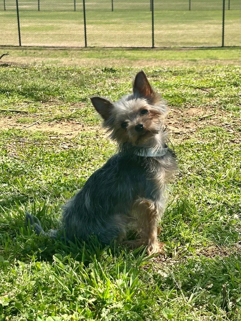 Chillie Mar thumbnail 3