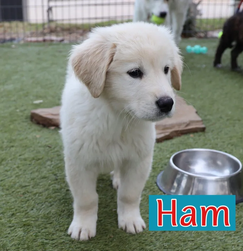 Squints  Smalls  thumbnail 4