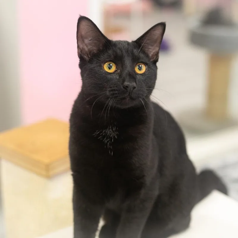 Creighton thumbnail 3