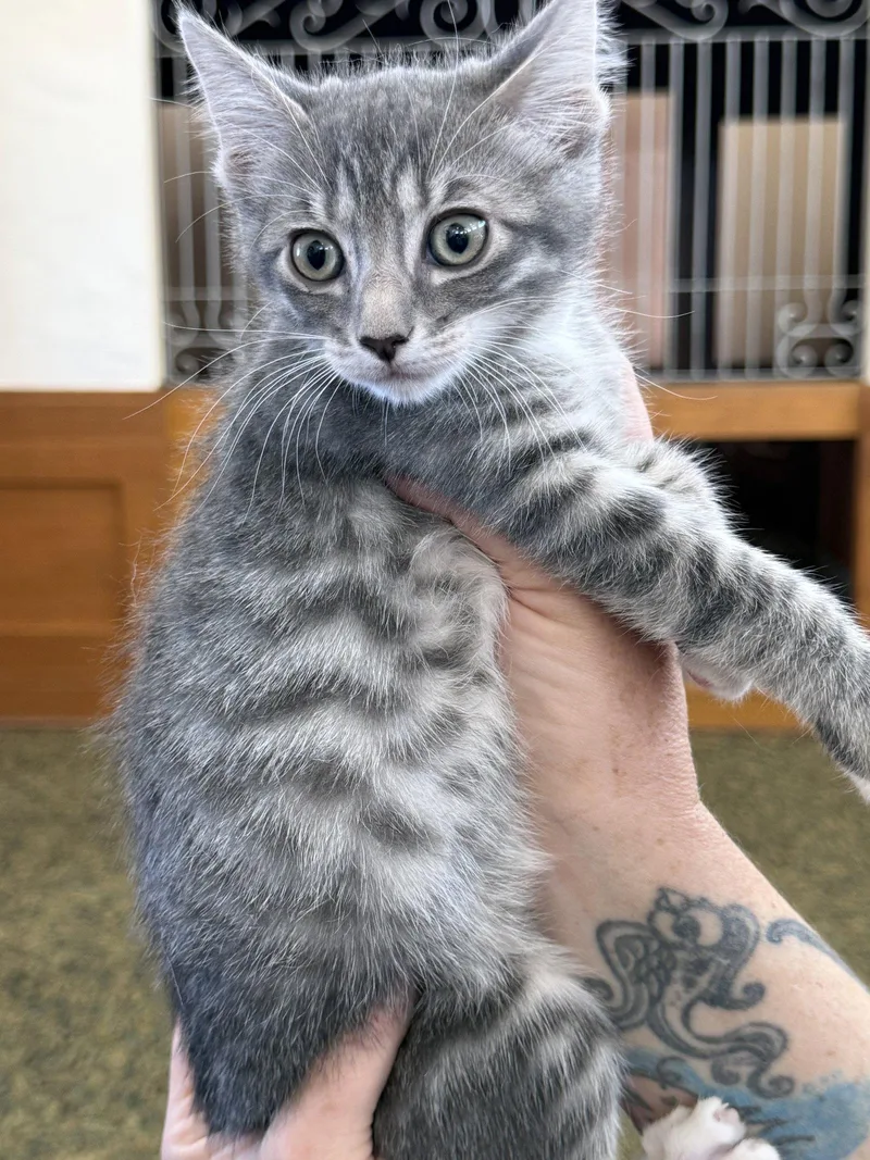 Sarah thumbnail 2
