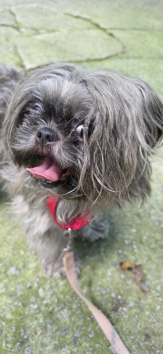 Sophie Mae thumbnail 2
