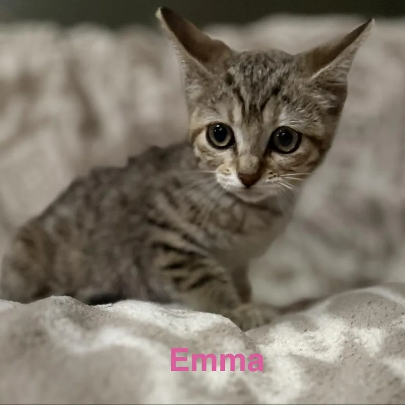 Emma