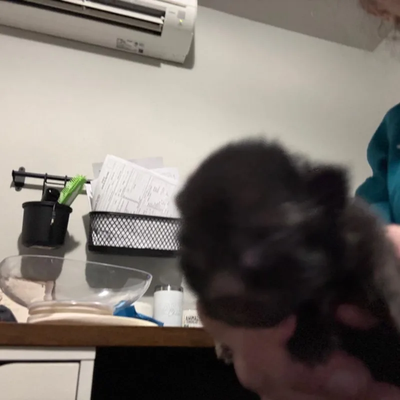 Coco Puff  Brown thumbnail 2