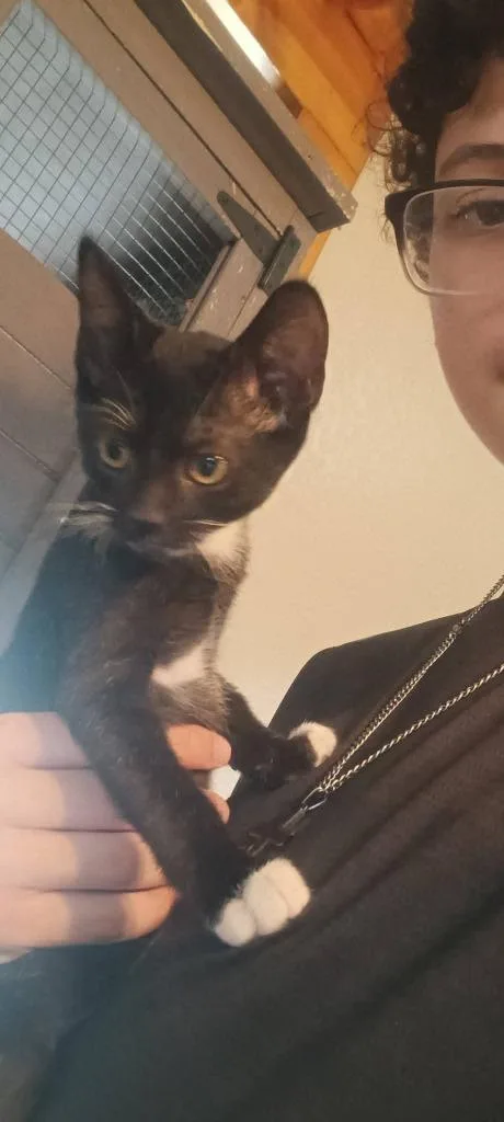Pepper thumbnail 4