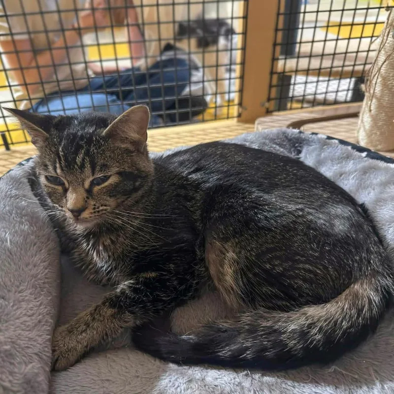 Yennifer Aka Yennie thumbnail 3