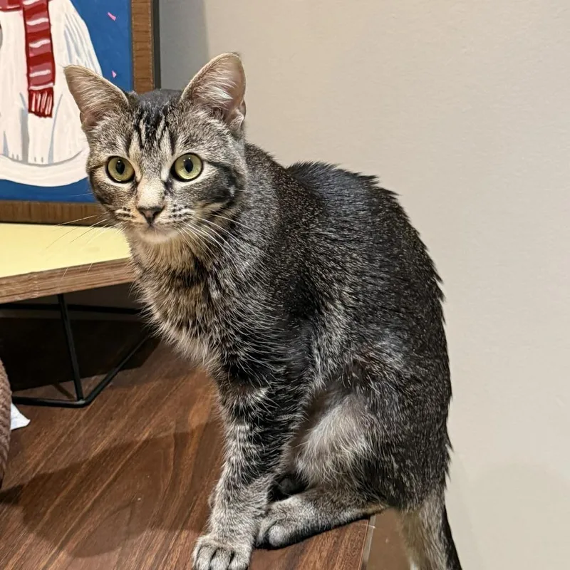 Yennifer Aka Yennie thumbnail 4