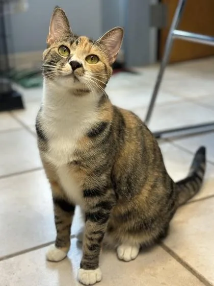 Prudence thumbnail 3