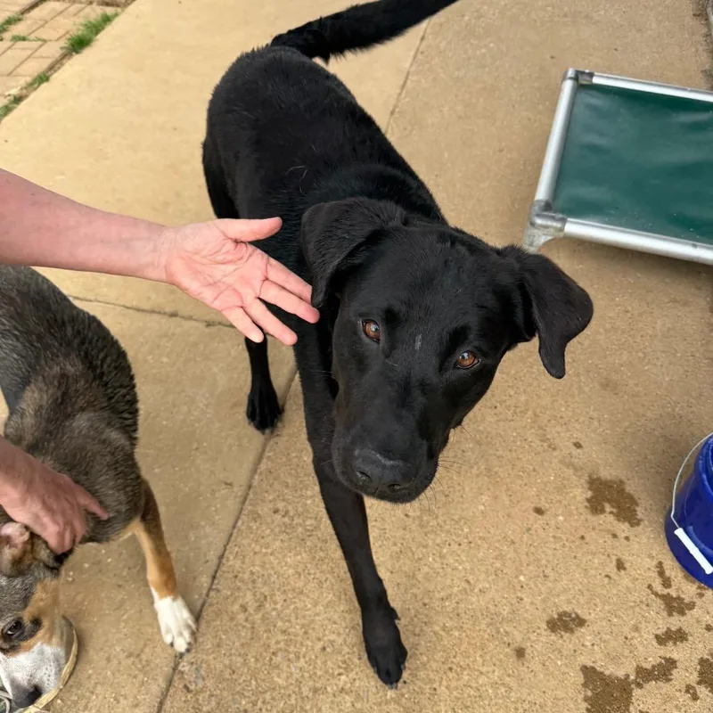 Banks thumbnail 2