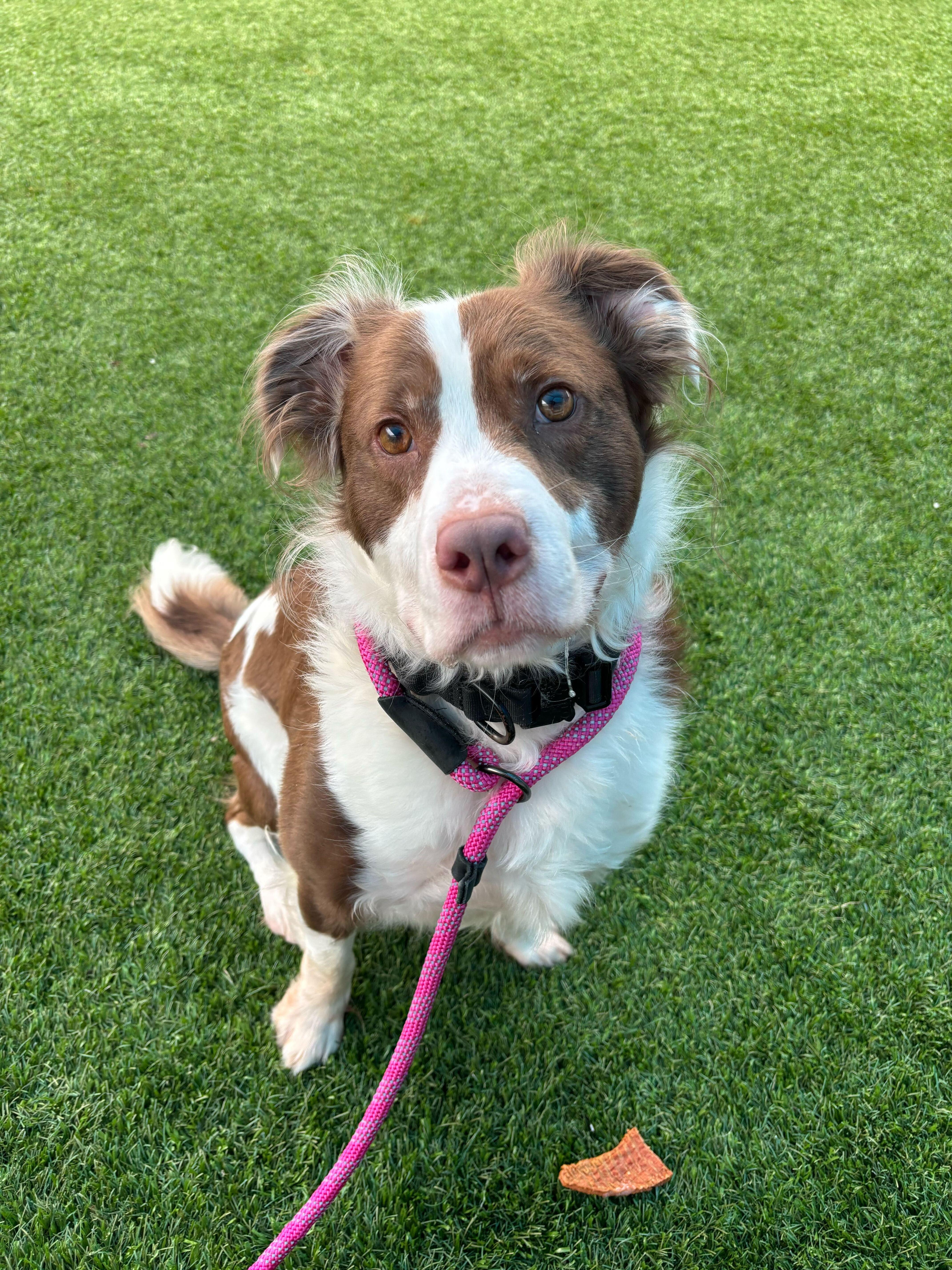 Maverick thumbnail 5