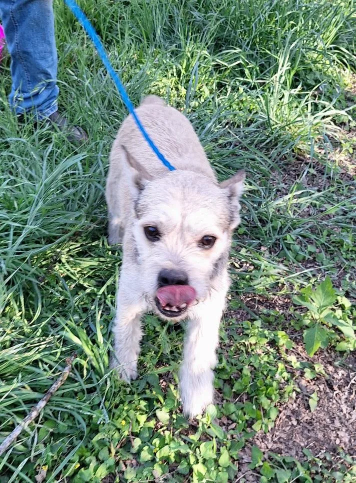 Pernell Mvt thumbnail 3