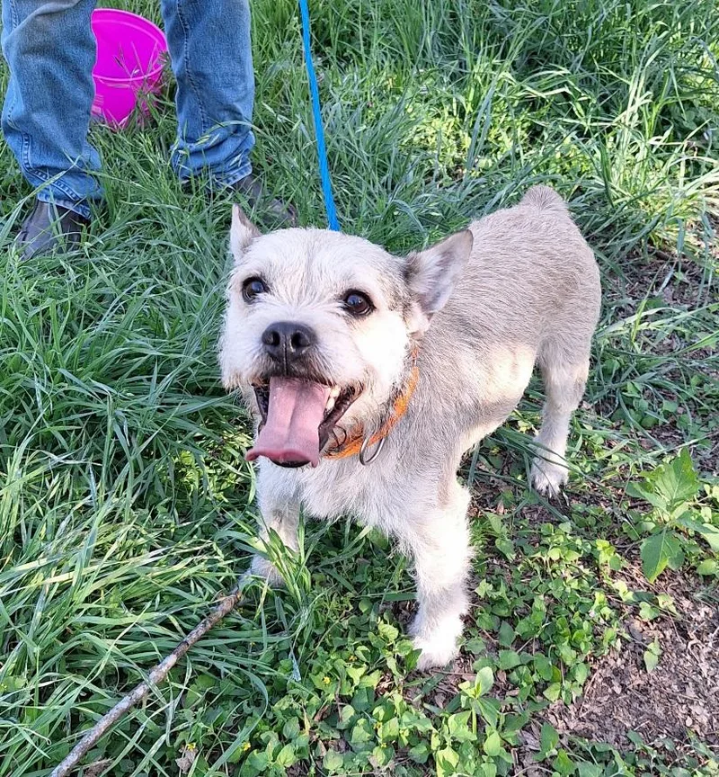 Pernell Mvt thumbnail 4