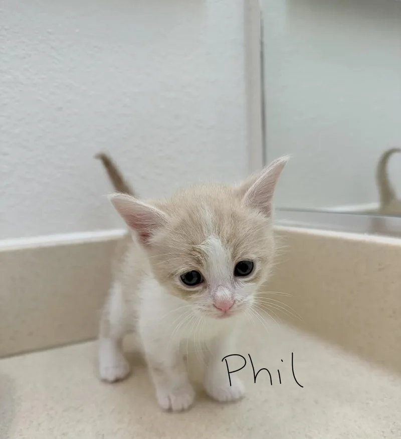 Phil thumbnail 3