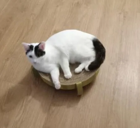 Snickers thumbnail 2