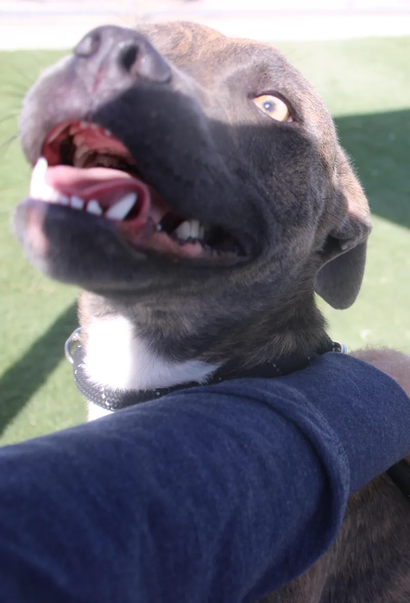 Tilly thumbnail 2