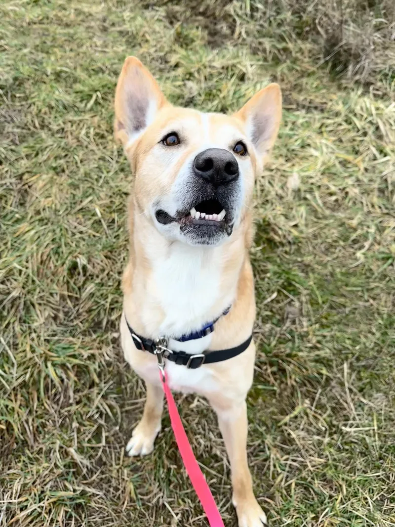 Christoph thumbnail 2