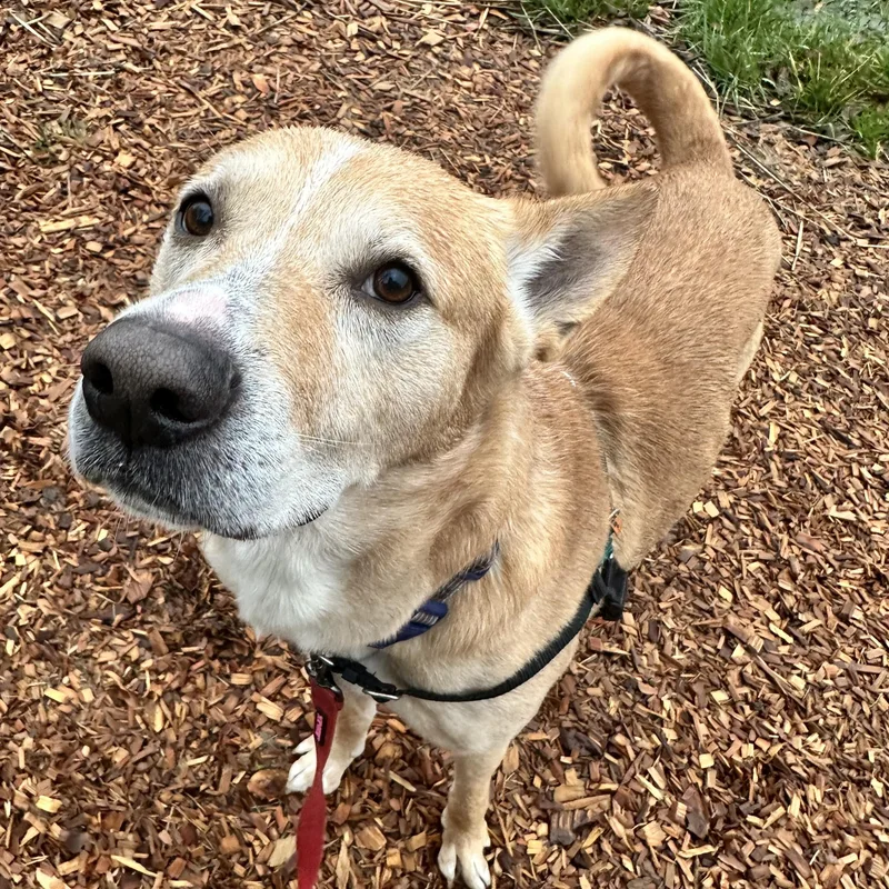 Christoph thumbnail 3