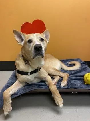 Christoph thumbnail 4